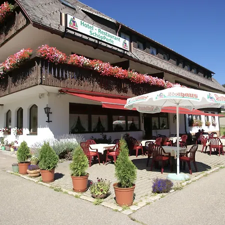 Schoepperle 哈瑟恩